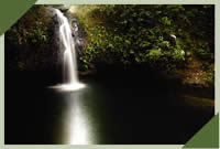 cascade