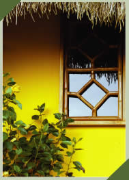 window arash�