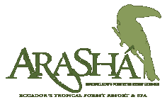 arashá logo