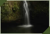 cascade