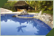 Sprinf Fed Natural Pool