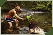 shaman