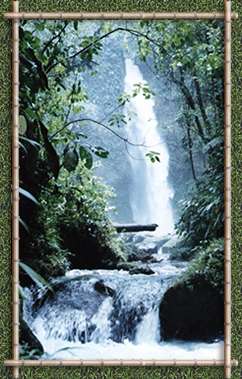 Cascada