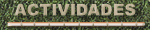 Servicios