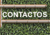 Contactos