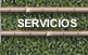 Servicios